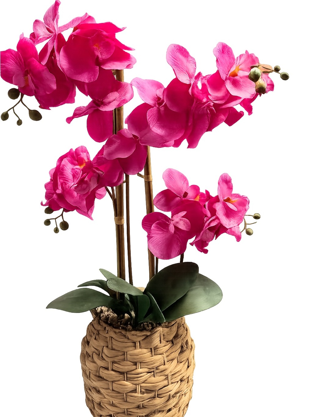 Beautiful faux orchid plant